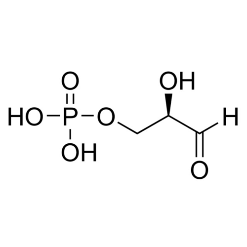 <SC>D</SC>-甘油醛 3-磷酸 溶液,591-57-1