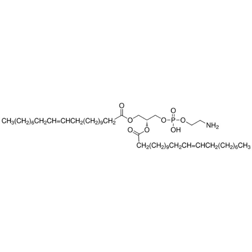 1,2-Dierucoyl-sn-glycero-3-phosphoethanolamine,904304-57-0