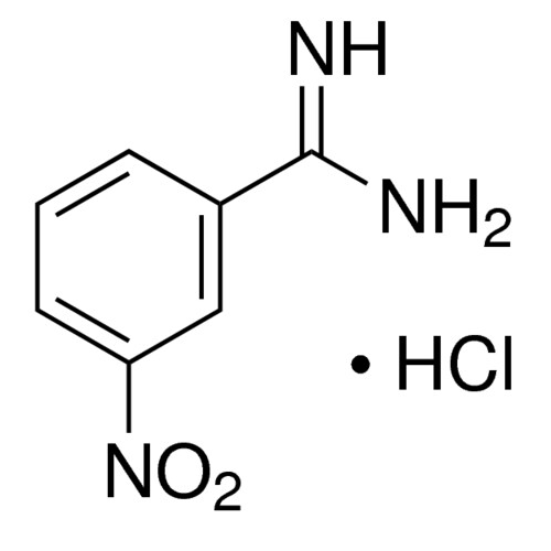 3-硝基苯甲脒 盐酸盐,56406-50-9