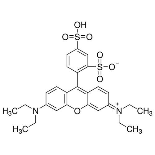 磺酰罗丹明 B，酸式,2609-88-3