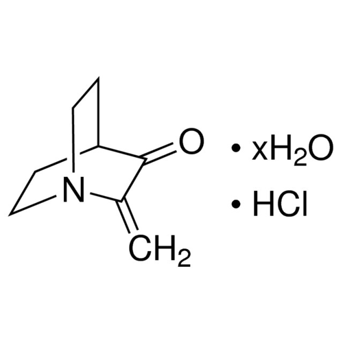 2-亚甲基-3-奎宁酮 盐酸盐 水合物,207556-03-4