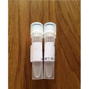 Actin聚合生化试剂盒
