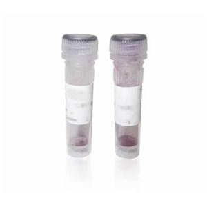 Tubulin聚合检测（荧光法-96assays 猪脑 tubulin）试剂盒