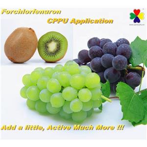 氯吡脲,forchlorfenuron,CPPU