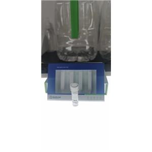 硫醇化蛋白检测试剂盒-1个试剂盒