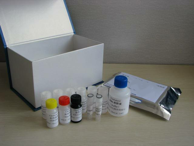 ChromaFlash 高灵敏染色质免疫共沉淀（ChIP）试剂盒（24 次）,ChromaFlash High Sensitivity ChIP Kit(24 reactions)