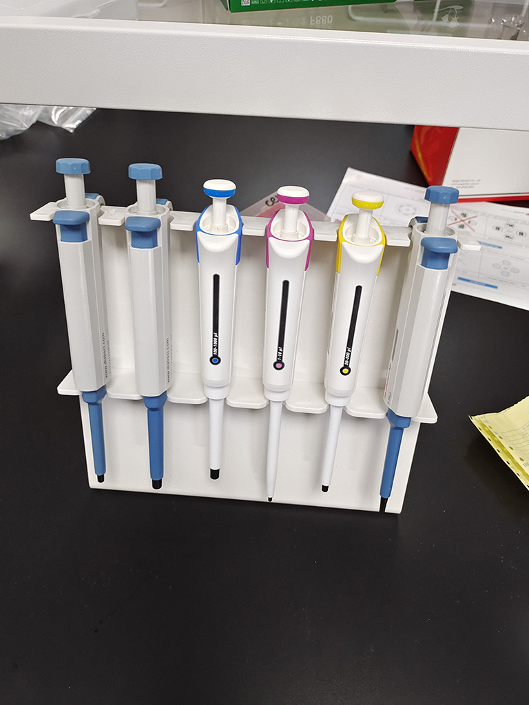 ELISpot Plus: Rat IFN-gamma (ALP)