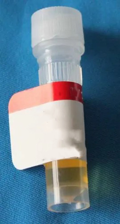 睾酮ELISA检测试剂盒-96次分析（可拆卸）,Testosterone EIA Kit