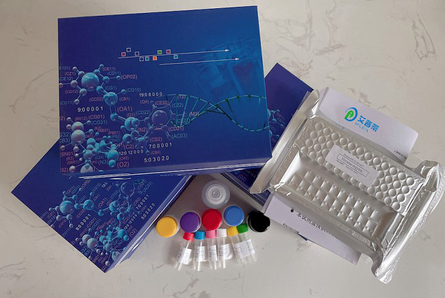 消退素D1检测ELISA试剂盒-96次分析,Resolvin D1 EIA Kit