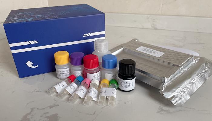 HDAC1抑制剂筛选试剂盒-96次分析,HDAC1 Inhibitor Screening Assay Kit