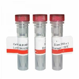 吞噬分析试剂盒(IgG-PE)-1个试剂盒