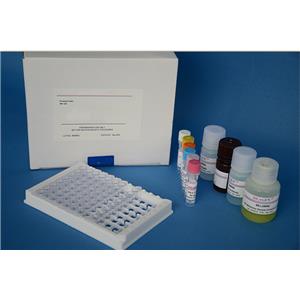 Anti-human IL-12/-23 (p40) mAbs (MT86/221), unconjugated