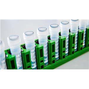 肌酐(尿）检测分析试剂盒-96次分析,Creatinine (urinary) Assay Kit