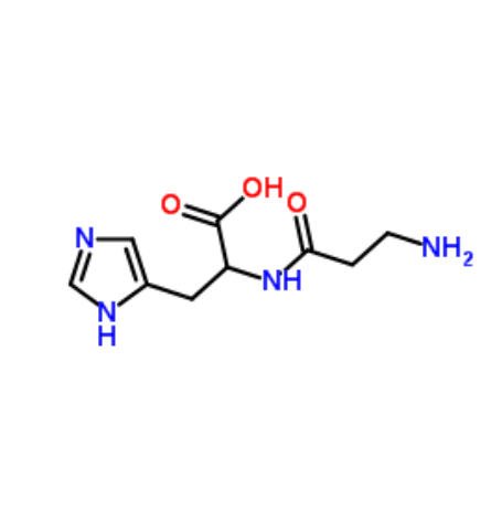 carnosine,carnosine