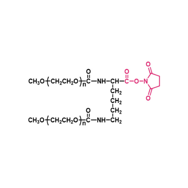 两臂聚乙二醇琥珀酰亚胺羧酸酯(LYS01),[2-arm PEG-NHS(LYS01)] 2-arm Methoxypoly(ethylene glycol) succinimidyl ester(LYS01)