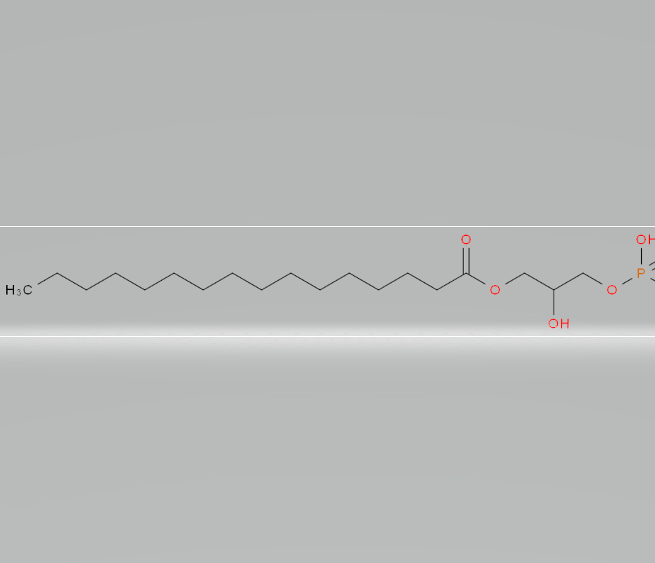 2-hydroxy-3-(phosphonooxy)propyl palmitate,2-hydroxy-3-(phosphonooxy)propyl palmitate