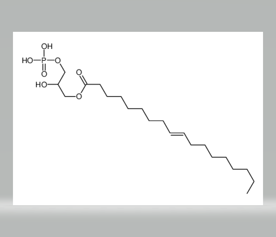 溶血磷脂酸,2-hydroxy-3-(phosphonooxy)propyl oleate