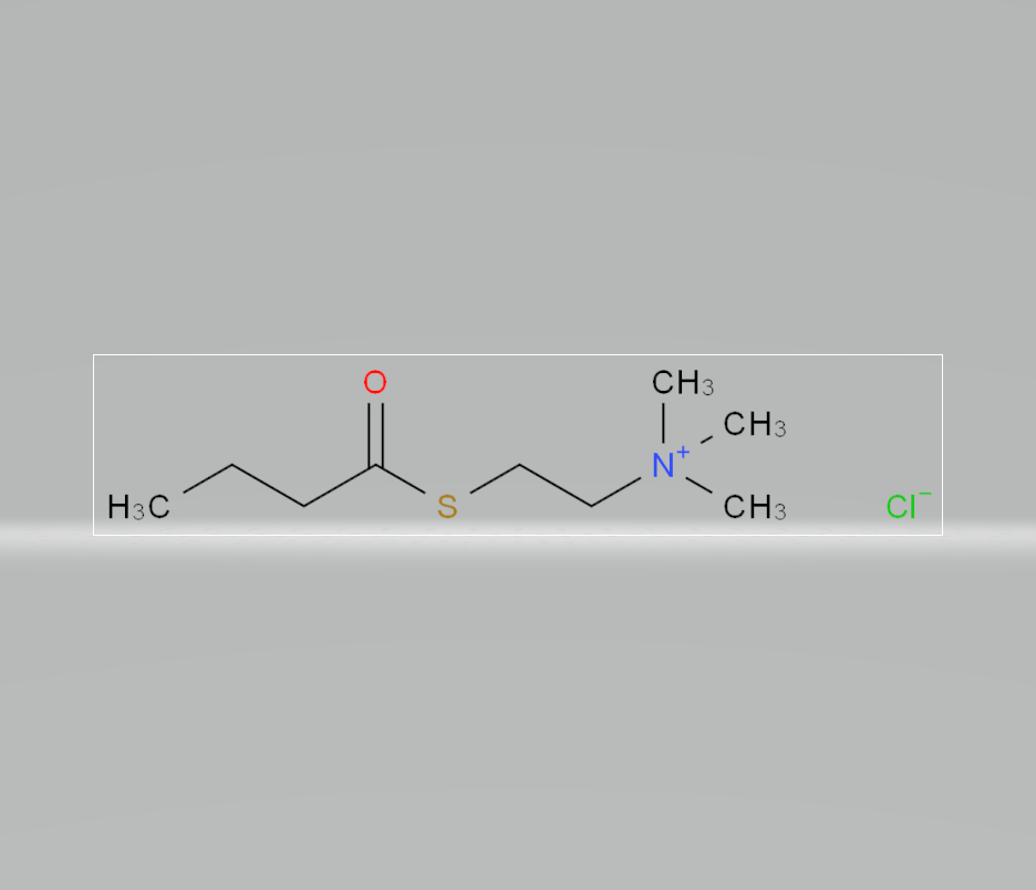氯化-S-丁酰硫代胆碱,S-BUTYRYLTHIOCHOLINE CHLORIDE