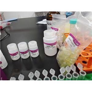 谷胱甘肽分析试剂盒-96次分析,Glutathione Assay Kit