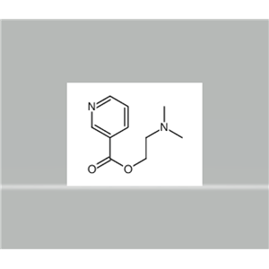 2-(dimethylamino)ethyl nicotinate