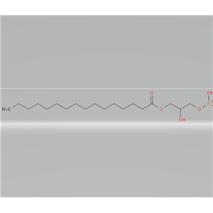 2-hydroxy-3-(phosphonooxy)propyl palmitate