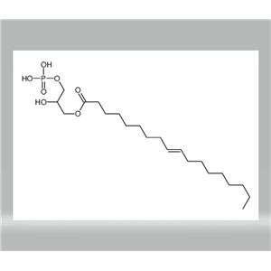 溶血磷脂酸,2-hydroxy-3-(phosphonooxy)propyl oleate