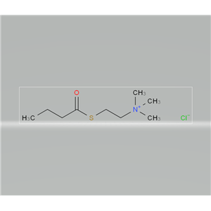 氯化-S-丁酰硫代胆碱