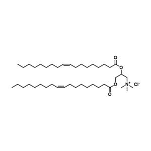 1,2-二油酰基-3-三甲基铵-丙烷(氯盐),DOTAP-Cl; 1,2-dioleoyl-3-trimethylammonium propane(chloride salt)