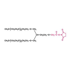 两臂聚乙二醇琥珀酰亚胺乙酸酯(PT02)