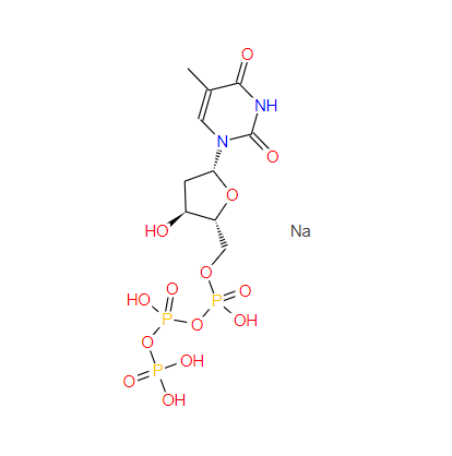 胸苷-5'-三磷酸三鈉鹽,thymidine 5'-(trisodium hydrogen triphosphate)