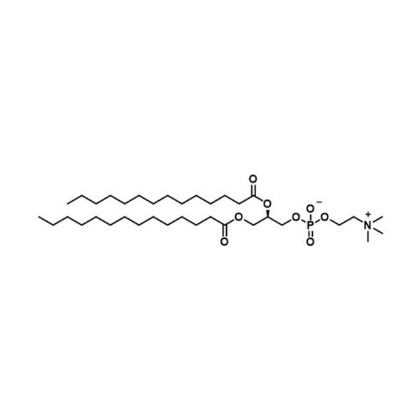 二肉豆蔻酰磷脂酰胆碱,[DMPC] 1,2-dimyristoyl-sn-glycero-3-phosphocholine