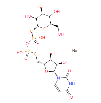 二磷酸尿苷葡萄糖二钠盐,Uridine 5'-diphosphoglucose disodium salt