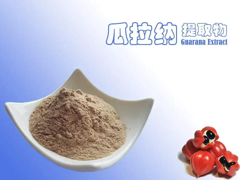 瓜拉纳提取物,GUARANA extract