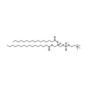 二棕榈酰基卵磷脂,[DPPC] 1,2-dipalmitoyl-sn-glycero-3-phosphocholine