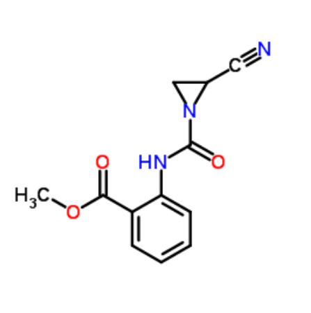 氨基肽酶,Aminopeptidase