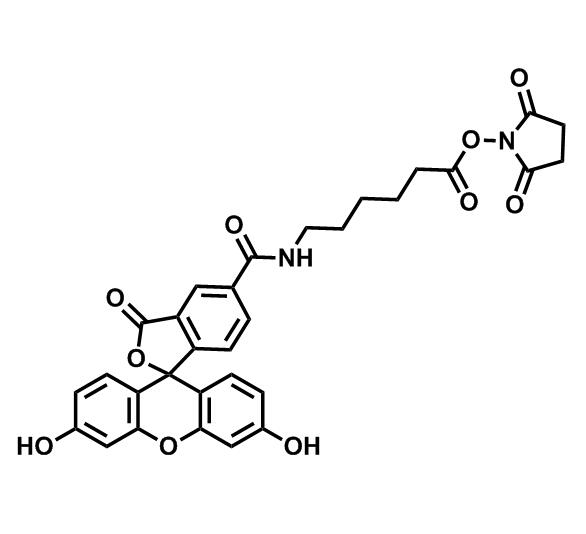 5-羧基熒光素琥珀酰亞胺酯