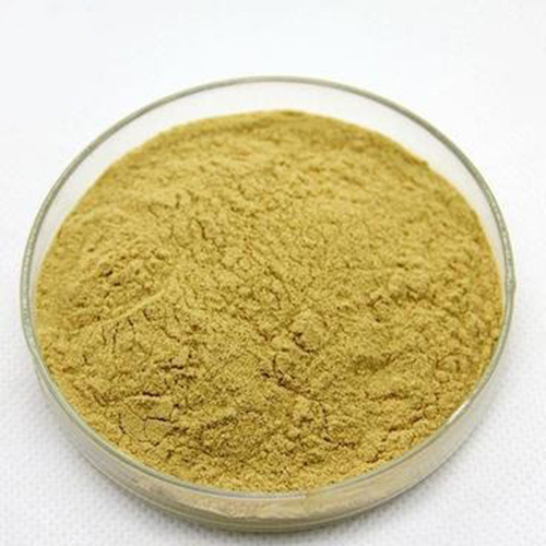 非洲芒果籽提取物,African mango seed extract