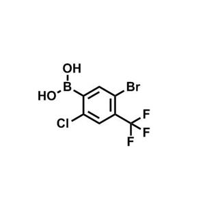 5-溴-2-氯-4-(三氟甲基)苯硼酸