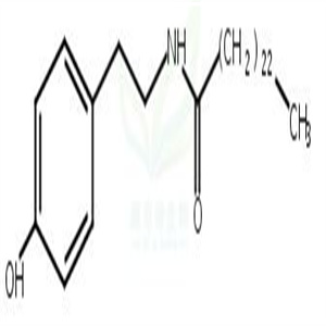 N-Tetracosanoyltyramine;NorarMepavine