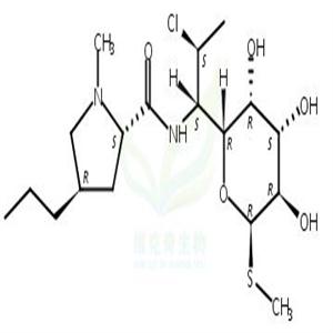 克林霉素,Clindamycin;Clindamycin Pyrophosphate Triethylamine Salt