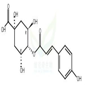 4-O-对香豆酰基奎宁酸