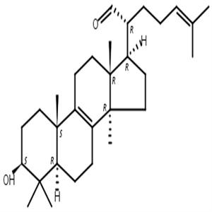 3beta-羟基羊毛甾-8,24-二烯-21-醛,3β-Hydroxylanosta-8,24-diene-21-al