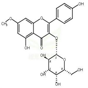 鼠李柠檬素 3-O-半乳糖苷,Rhamnocitrin 3-galactoside