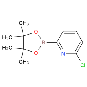 6-氯吡啶-2-硼酸频哪酯,6-CHLOROPYRIDINE-2-BORONICACIDPINACOLESTER