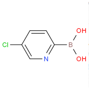 5-氯吡啶-2-硼酸,5-Chloropyridine-2-boronicacid