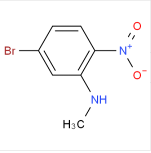 5-溴-N-甲基-2-硝基苯胺,(5-Bromo-2-nitro-phenyl)-methyl-amine