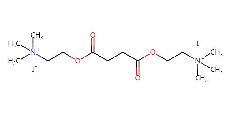 碘化琥珀膽堿