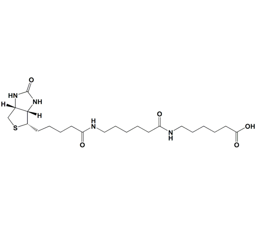 6-((6-((生物素基)氨基)己酰基)氨基)己酸,N-BiotinylcaproylaMinocaproic Acid