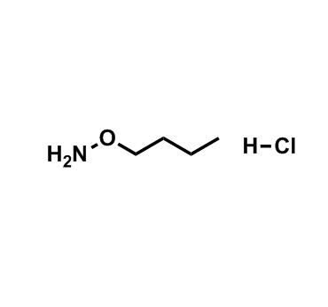 O-丁基羟胺盐酸盐,O-Butylhydroxylamine hydrochloride
