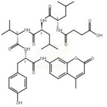 N-琥珀酰-Leu-Leu-Val-Tyr-7-氨基-4-甲基香豆素